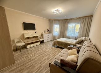 Сдается в аренду 1-комнатная квартира, 47 м2, Кингисепп, Крикковское шоссе, 22