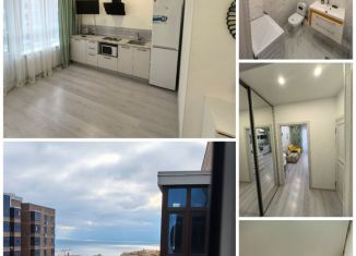 Продается квартира студия, 26.6 м2, Анапа, улица Ивана Голубца, 147к2, ЖК Резиденция Высокий берег