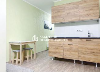 Сдаю в аренду квартиру студию, 24 м2, Мурино, улица Шоссе в Лаврики, 67