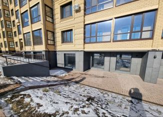 Продается помещение свободного назначения, 98.7 м2, Владимир, Центральная улица, 23, Октябрьский район