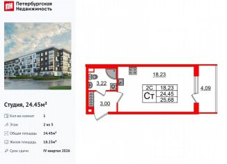 Продаю квартиру студию, 24.5 м2, Санкт-Петербург, метро Звёздная