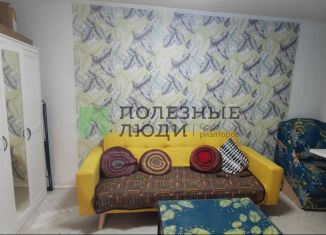 Продажа трехкомнатной квартиры, 41.7 м2, Санкт-Петербург, улица Примакова, 4, Кировский район