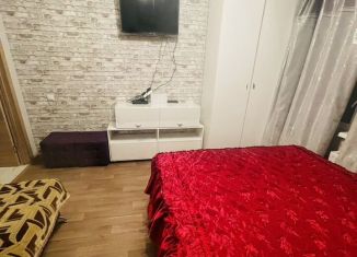 Сдам квартиру студию, 29 м2, Санкт-Петербург, улица Бабушкина, 84к2