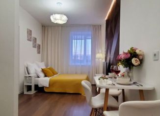 Сдается в аренду квартира студия, 21 м2, Тосно, шоссе Барыбина, 10А