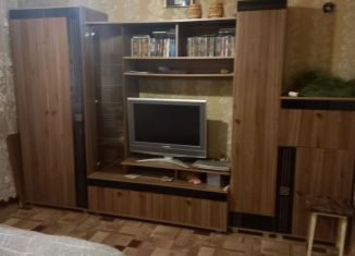 Однокомнатная квартира в аренду, 29 м2, Донецк, 3-й микрорайон, 20