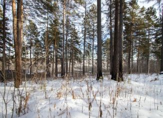 Продаю участок, 15 сот., деревня Новолисиха