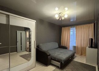 1-ком. квартира в аренду, 30 м2, Рязань, улица Циолковского, 23