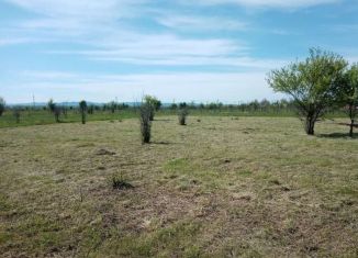 Продам земельный участок, 25 сот., станица Новодмитриевская