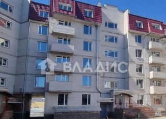 Продажа 2-ком. квартиры, 57.5 м2, Ленинградская область, улица Чекалова, 47