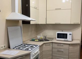 Сдается 2-ком. квартира, 45 м2, Санкт-Петербург, проспект Науки, 14к1, метро Площадь Мужества