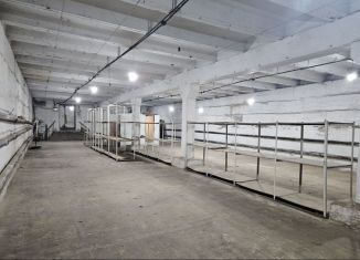 Сдается в аренду склад, 312 м2, Оренбургская область, улица Металлистов, 3