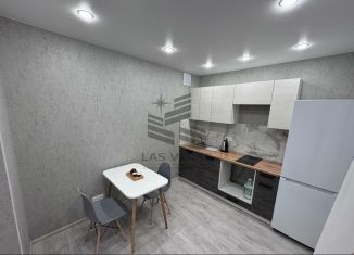 1-ком. квартира в аренду, 30 м2, Казань, улица Александра Курынова, 5к4