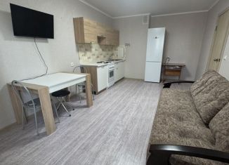 Сдается квартира студия, 30 м2, Анапа, улица Адмирала Пустошкина, 22к8