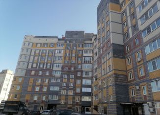 Продам 1-комнатную квартиру, 43 м2, Нижегородская область, улица Луначарского, 208