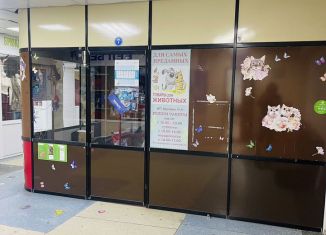 Сдаю помещение свободного назначения, 12 м2, Шелехов, 6-й квартал, 36