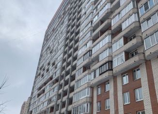 Сдам в аренду 1-ком. квартиру, 35 м2, Санкт-Петербург, Пулковская улица, 8к2, метро Звёздная