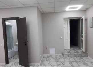 Продажа помещения свободного назначения, 42 м2, Санкт-Петербург, Угловой переулок, 7, Адмиралтейский район