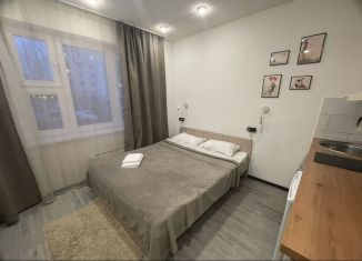 Сдается квартира студия, 25 м2, Москва, улица Кадырова, 8к1, ЮЗАО