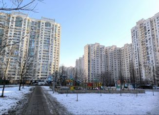 Аренда 1-комнатной квартиры, 43 м2, Москва, Волжский бульвар, 13, метро Текстильщики