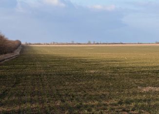 Продам земельный участок, 1150 сот., Оленевское сельское поселение