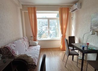 Продажа 1-ком. квартиры, 30 м2, село Орёл-Изумруд, Петрозаводская улица, 32