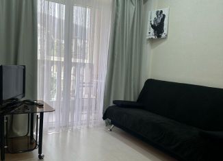 Сдается квартира студия, 38 м2, Сочи, Курортный проспект, 96/4, микрорайон Приморье
