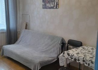 Сдаю в аренду квартиру студию, 25 м2, Санкт-Петербург, Пулковская улица, 6к2, муниципальный округ Звёздное