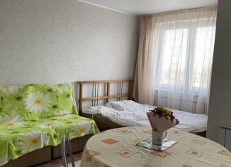 Сдам в аренду квартиру студию, 25 м2, Республика Башкортостан, улица Конституции