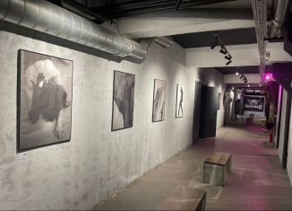 Продаю офис, 250 м2, Сыктывкар, Коммунистическая улица, 46