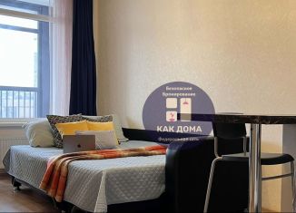 Сдам квартиру студию, 26 м2, Санкт-Петербург, улица Адмирала Черокова, 18к2, Красносельский район