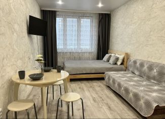 Сдаю в аренду квартиру студию, 30 м2, Республика Башкортостан, улица Рихарда Зорге, 13/1