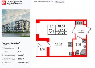 Продается квартира студия, 24.4 м2, Санкт-Петербург, муниципальный округ Пулковский Меридиан