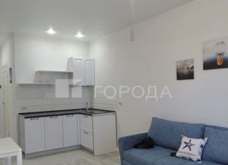 Продажа 1-комнатной квартиры, 30 м2, Новосибирск, улица Сибревкома, 9, метро Площадь Ленина