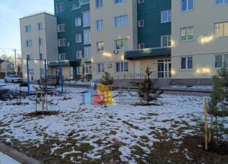 1-ком. квартира на продажу, 48.1 м2, деревня Болтино, улица Баздырева, 3, ЖК Болтино