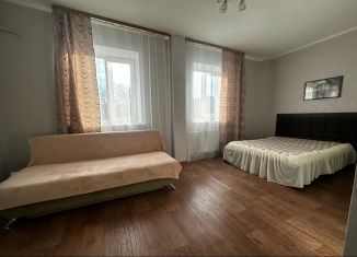 Сдам 1-комнатную квартиру, 50 м2, Хабаровский край, улица Панькова, 29Б