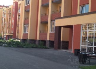 Квартира в аренду студия, 24 м2, село Михайловка