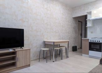 Квартира в аренду студия, 25 м2, Краснодар, Войсковая улица, 4к6, ЖК Спортивный Парк