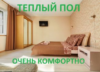 Сдаю в аренду однокомнатную квартиру, 35 м2, Калининград, проспект Калинина, 101