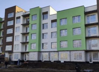 Продается однокомнатная квартира, 42 м2, Фёдоровское городское поселение