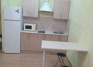 1-комнатная квартира в аренду, 30 м2, Краснодар, улица Гидростроителей, 62к3, ЖК Ясный