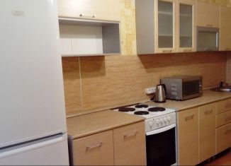 1-ком. квартира в аренду, 55 м2, Пермь, улица Чернышевского, 17Г, ЖК Альпийская Горка