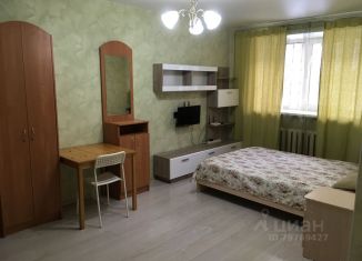 Сдается в аренду однокомнатная квартира, 31 м2, Екатеринбург, Красный переулок, 8, Красный переулок