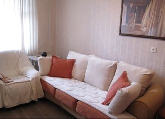 Сдается однокомнатная квартира, 40 м2, Санкт-Петербург, улица Савушкина, 133к3, Приморский район