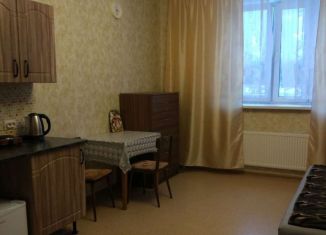 Квартира в аренду студия, 19 м2, дачный посёлок Поварово, 1-й микрорайон, 28