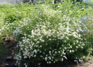 Дача на продажу, 20 м2, Чита, Тополевая улица