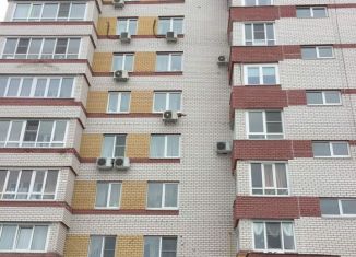 Сдается в аренду 1-комнатная квартира, 38.5 м2, Нижний Новгород, проспект Гагарина, 103Б, жилой район Щербинки