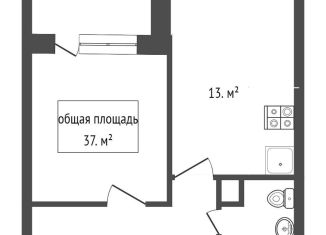 Продаю 2-комнатную квартиру, 37 м2, Новосибирск, Красный проспект, 222/2, ЖК Красный Проспект