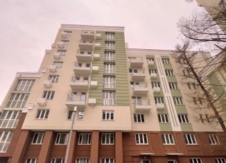 Продажа двухкомнатной квартиры, 60 м2, Нижний Новгород, Славянская улица, 33А, ЖК Ренессанс