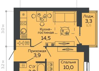 Продается 1-комнатная квартира, 33.8 м2, Екатеринбург, улица Данилы Зверева, 11, ЖК Даниловский