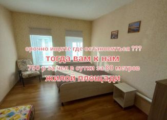 Сдается 2-комнатная квартира, 80 м2, Нижний Новгород, Анкудиновское шоссе, Приокский район